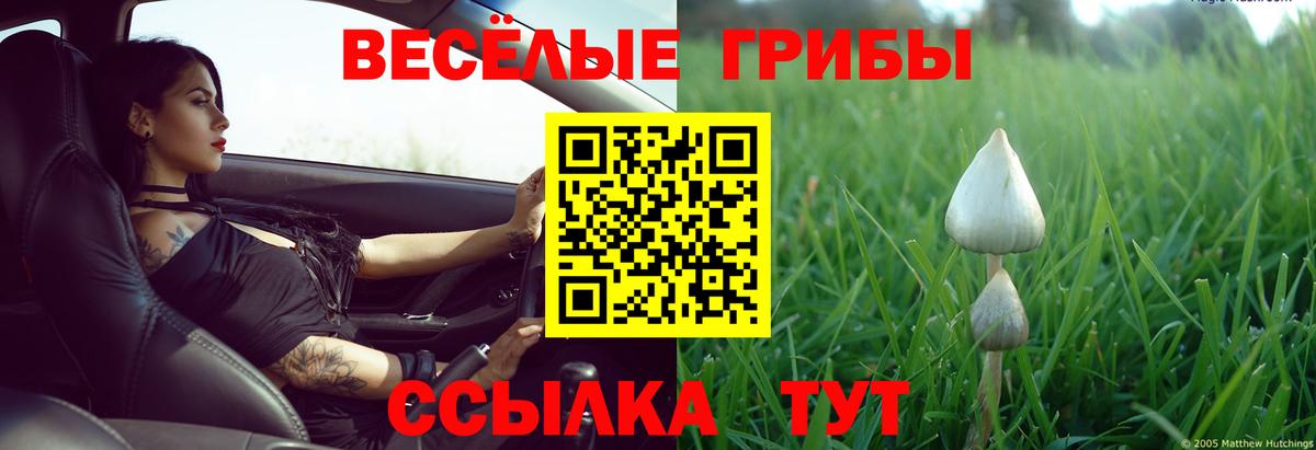 Избербаш  Псилоцибиновые грибы Magic Shrooms  Вход с VPN 