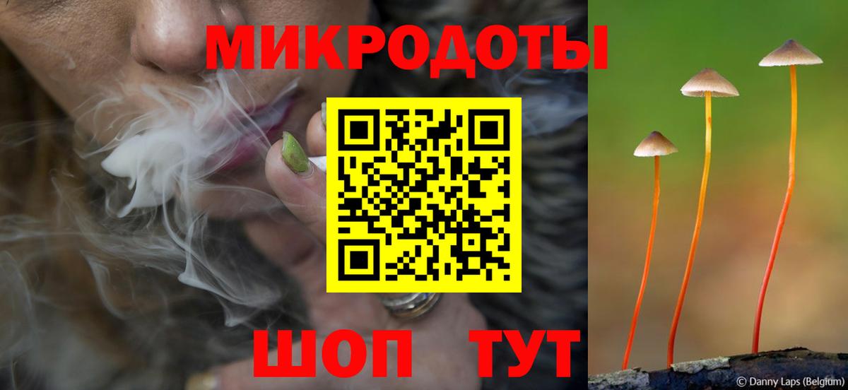 Галлюциногенные грибы мухоморы Избербаш